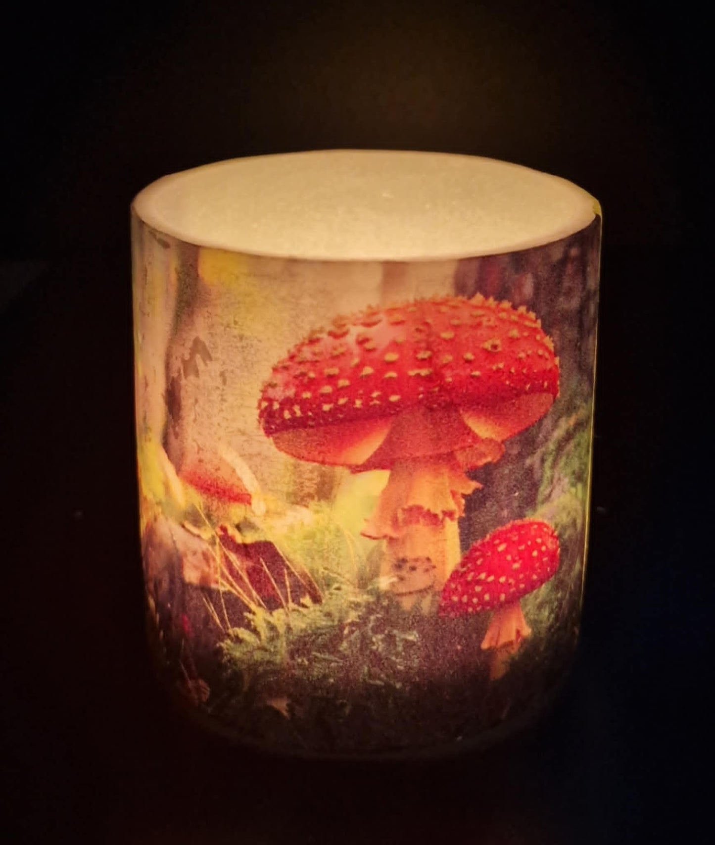 Paddenstoelen in het bos