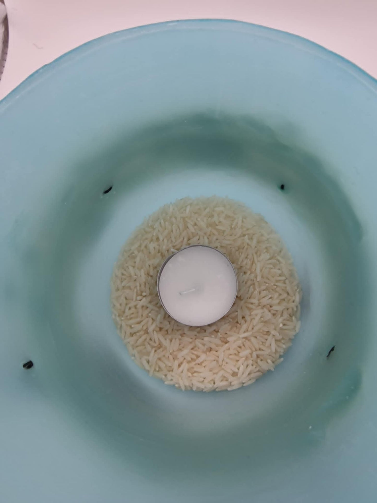 Zeeschelpen en visnet