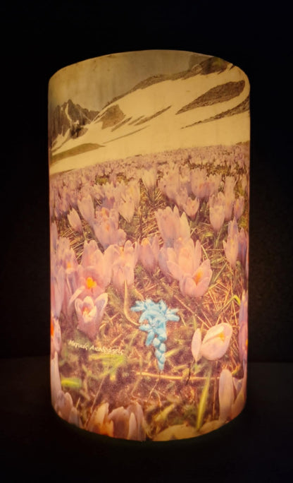 Alpenbloemen