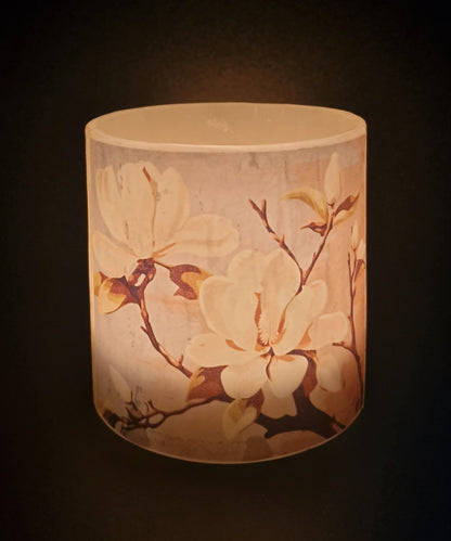 Magnolia