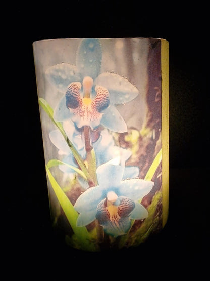Blauwe bloemen