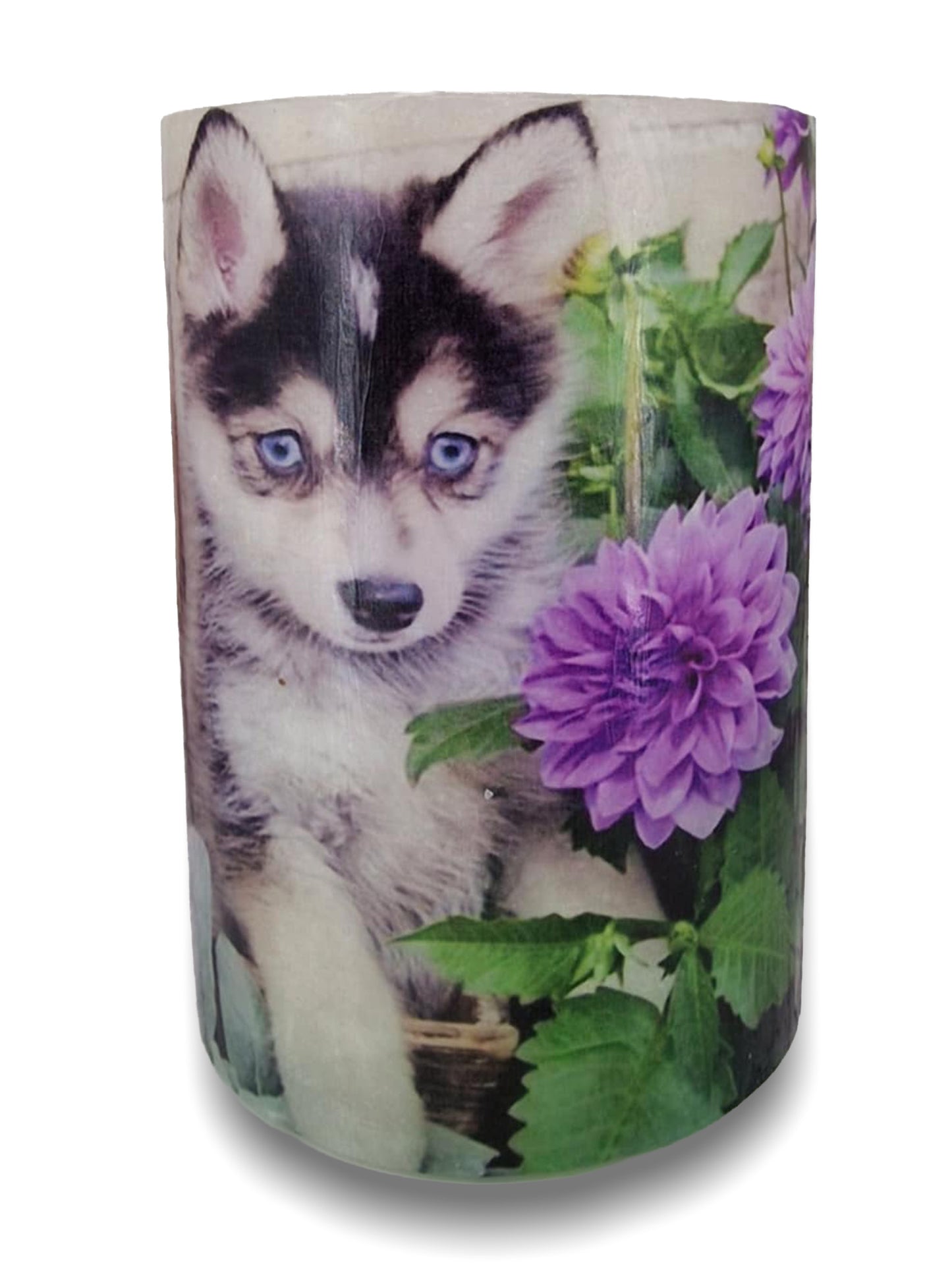 Hond tussen bloeiende dahlia’s