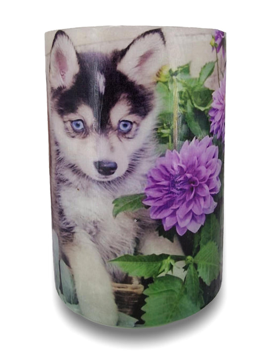 Hond tussen bloeiende dahlia’s